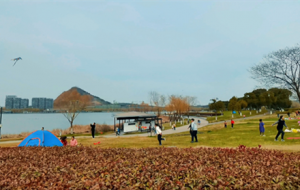 �Δ�ɽ����̤����L�~