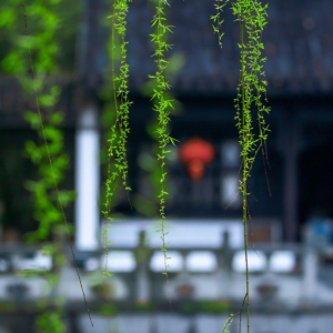 ӛ��@�U���������gһ����