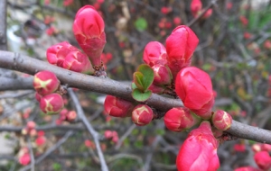 ����⾰��ͿĨ�¼t�Ϻ���