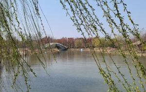 ���߲����� Ұ��С̽��