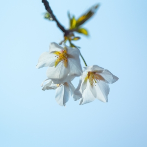 2022����������������c���L���^��