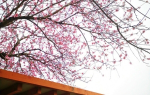 �l(xi��ng)�幫��վ ���F�\�� ��Ӣ�_��