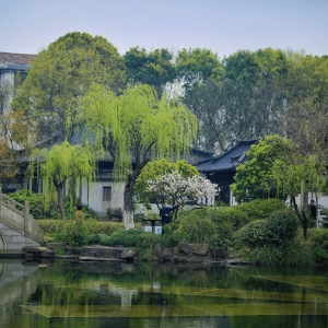 �W(w��ng)���S�ģ�����d���@����