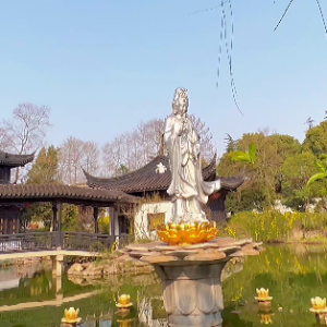 �zӰ��W(w��ng)�ь�(sh��)�ģ�ٝ�@�Ĵ���