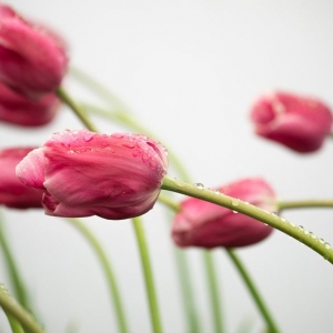 �W(w��ng)�������D��������ʢ�_(k��i)�ļ���(ji��)