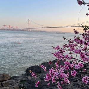 �W(w��ng)�ѳ��ܪ�(d��)�����������L(f��ng) ɽ���B(ni��o)�Q