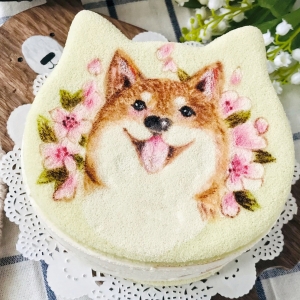 �������������� С������һ��