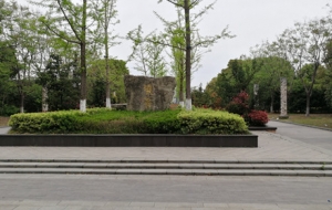 �@�ǽ�ꎣ�����С�(zh��n) ���ⰻȻ