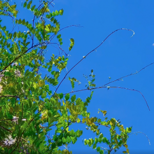 ܽ�غ����@�����ٻ��_������