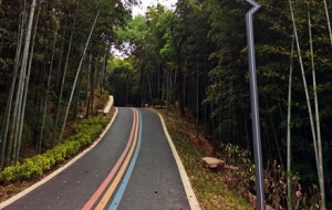 �S��һ�Ľ�� ���ɽ����