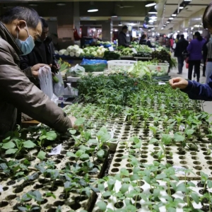 ��Ԓ�}���������g ����ڼҶ����Y����