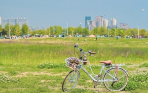 �T���Ĕz ���L����һ·���