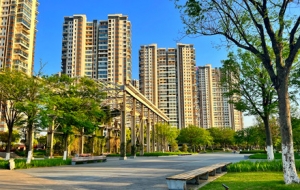 �L������ ꖹ����� �N������