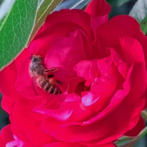 �¼����������ļ���(ji��)�`��