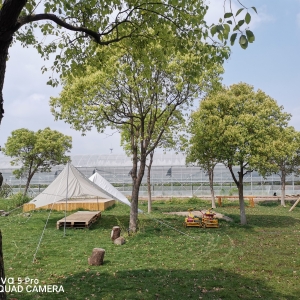 ��һȥ�r(n��ng)������ �������r�՚�