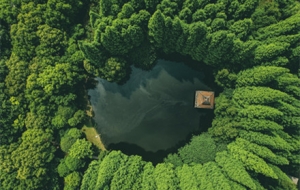 ��ů�r(sh��)���� Ը��������@