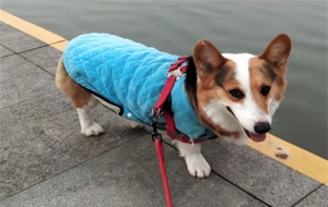 �P�I�r���Pʺ��ϵ���� �����ȥ�Ώģ�