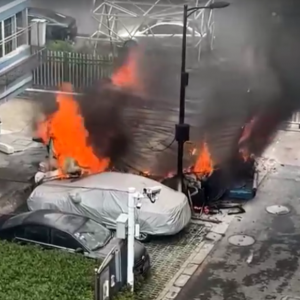 �Ķ�����ͻ�l��� �����`Ҏ���