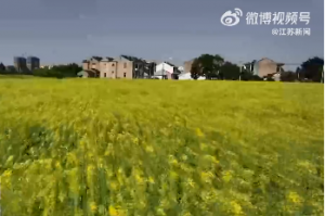 ��ꎰٮ��Ͳ˻�ʢ�_ ������������