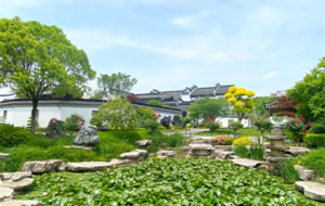 �t�񣡽����6������^�ڃ�