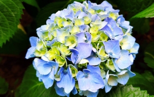 �C��ʢ�_ ���ƱMչ���Gɫ