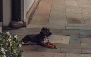 �Έ@�ľ���һ��һ���� һ�qһ����