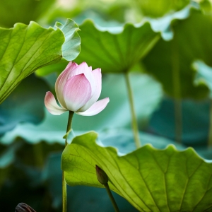 һ���ļ��� ����ϲ�g�ǂ�������