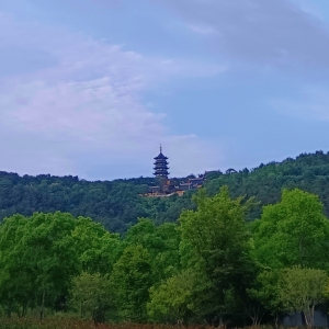 �W�ѷ�������ɽ����