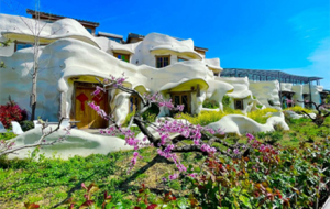 ����@�������ѽ��ز�ס�ˣ������^