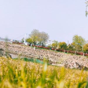 �S�ģ������L�� �Լ��_�ľͺ�