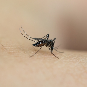 ��Ԓ�}���������ô�����x�ģ�