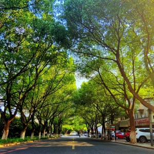 �W�ѷ��������յĚ�Ϣ