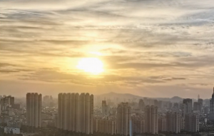 �W�ѷ��������е����