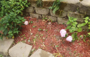 �ع�������@���F��͵���\��