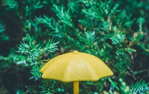 �A������������ꎄ����l����