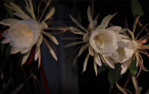 �ӕr(sh��)�Ĕz ӛ䛕һ��`���^��