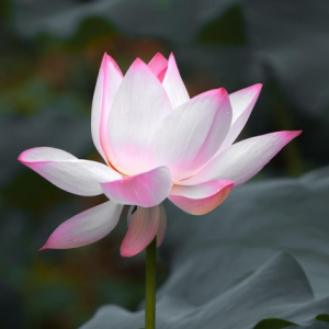 �W(w��ng)�Ѵ��R�����B(t��i)�@ �ĺ�