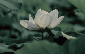 ���L(f��ng)����� ��ꎺɻ�����`��