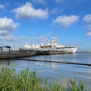 ��ꎣ���������cҹ