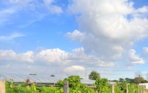 ���^���֙C��һ�c ������պÐ���