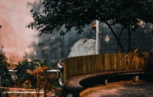 �S�Ľ�ꎣ��R�^��һ˲�g