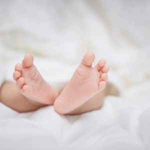 �ڽ�ꎣ������@��a(b��)�N