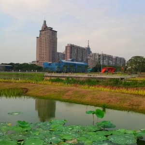 �W���ģ�����Щ�L���ٿ���ā