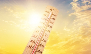 �����l�����p�A����̖