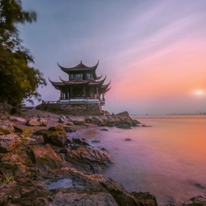 APP���x�D���������^��