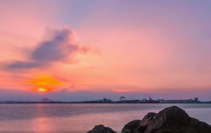 �Z���������Ĕz ��t�Ʋʄ�������