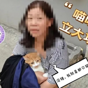 ����ʧ�𣡽���@ֻ؈���������