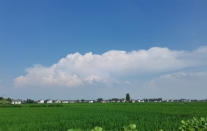 �S���r(n��ng)�ʢ���s�Q �f(w��n)�����L(zh��ng)