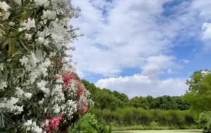 ҕ�l�Ĕz���l(xi��ng)�º�߅����ͣͣ ɢɢ��