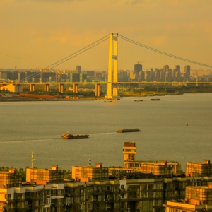 �W(w��ng)���Ĕz���@���ǽ��